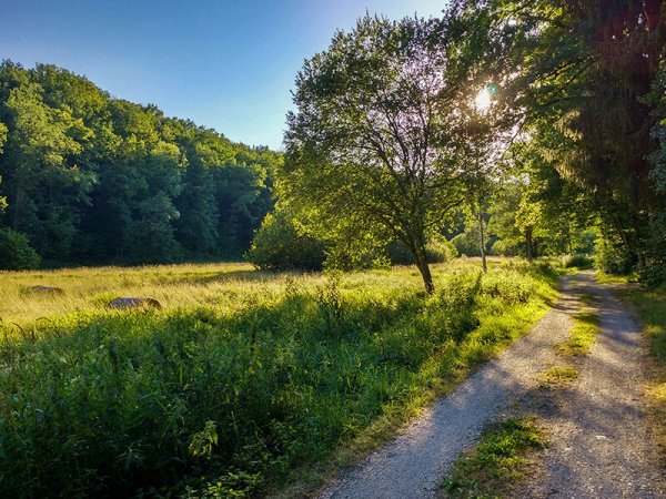 Die Umgebung rund um die Ferienwohnung in Hollfeld